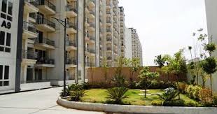 Flat Sale Tulip White Sector 69 Gurgaon